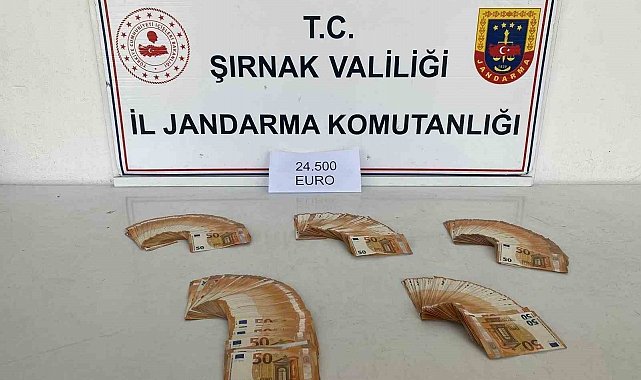 Şırnak'ta jandarmadan kaçakçılığa büyük darbe