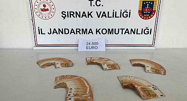 Şırnak'ta jandarmadan kaçakçılığa büyük darbe