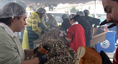 Soğuğa aldırış etmeyen vatandaşlar Balık Festivali'ne koştu