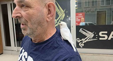 Sokaklarda omzundaki kuşuyla geziyor