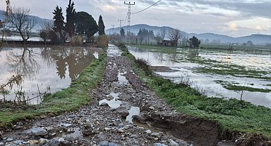 Söke'de aşırı yağışlar sonrası tarım alanlarında hasar tespiti