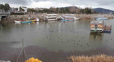 Son yağışlar Beyşehir Gölü'ne can suyu oldu