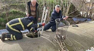 Su deposuna düşen yavru köpek 6 saat sonra kurtarıldı