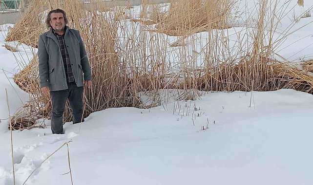 Sulak alanlar için hayati çağrı