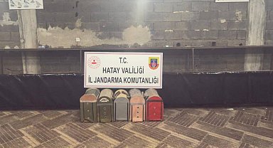 Süs Kanatlı Sokak Hayvanları Koruma Derneği'nde horoz dövüştürerek kumar oynayan 76 kişiye ceza yağdı