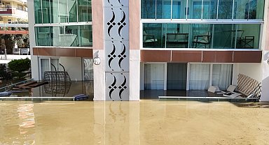 Taşan çaydaki işletme yıkıldı, sulara kapılmak üzere olan bir köpek son anda kurtarıldı