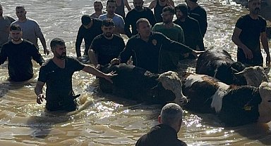 Taşan Gediz Nehri dolayısıyla mahsur kalan 44 kişi ve 127 hayvan kurtarıldı