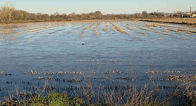 Taşkın sularının kapladığı tarım arazileri buz tuttu