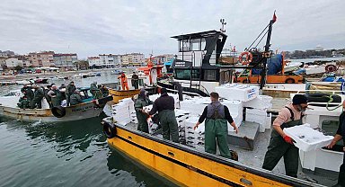 Tekirdağ açıklarında torik bereketi