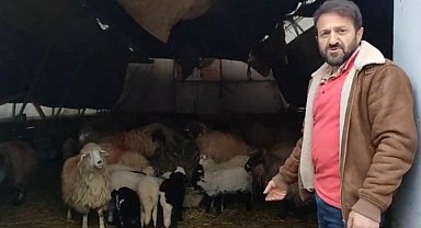 Trabzon'da ilginç görüntüler