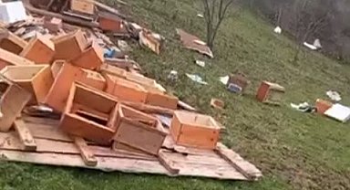 Türkeli'de fırtına arıcılığı vurdu: Onlarca kovan zarar gördü