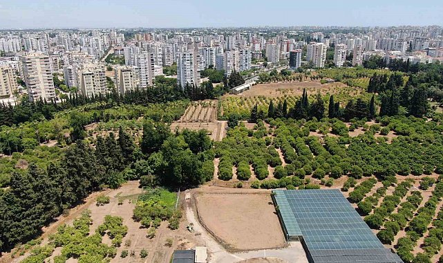Türkiye son 20 yılda, Antalya'dan büyük tarım alanını kaybetti