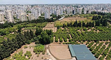 Türkiye son 20 yılda, Antalya'dan büyük tarım alanını kaybetti