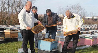 Türkiye'de en fazla bal üretiminin yapıldığı Ordu'da arıcılar sezona hazırlanıyor