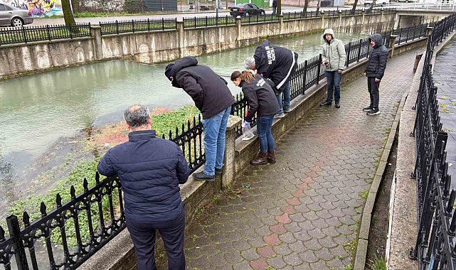 Uludere Çayı'nda binlerce ölü balık bulundu: Ekipler seferber oldu