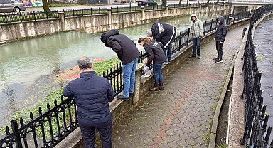 Uludere Çayı'nda binlerce ölü balık bulundu: Ekipler seferber oldu