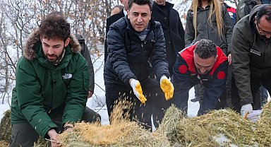 Vali Aygöl, yaban hayvanları için sahada
