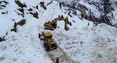 Van'da çığ düşen yol ulaşıma açıldı
