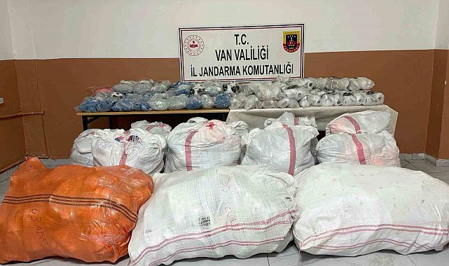 Van'da gümrük kaçakçılığı operasyonu