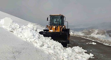 Van'da kar nedeniyle kapanan 67 yerleşim yerinin yolu açılıyor