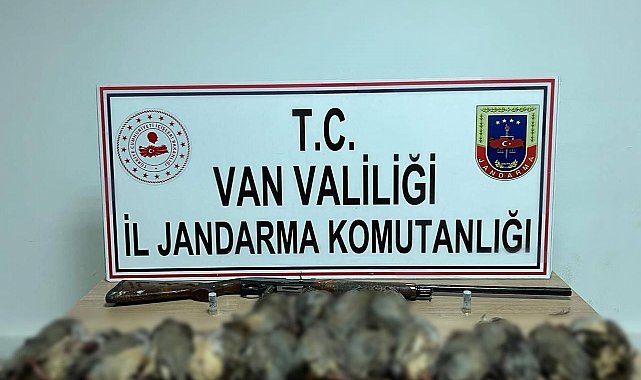 Van'da keklik avına 87 bin TL idari para cezası