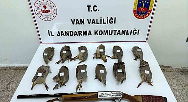 Van'da keklik avlayan kişiye 81 bin TL ceza