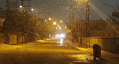 Van'da lapa lapa kar yağdı