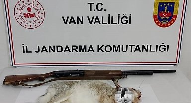 Van'da tavşan avlayan şahsa 29 bin TL ceza