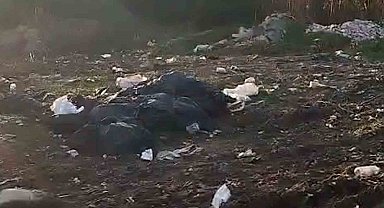 Vatandaşların kirlettiği ormanlık alanı muhtar temizledi