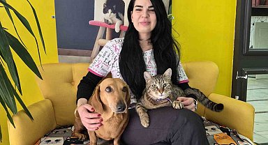Veteriner kliniğindeki kedi ve köpek arasındaki ilginç dostluk