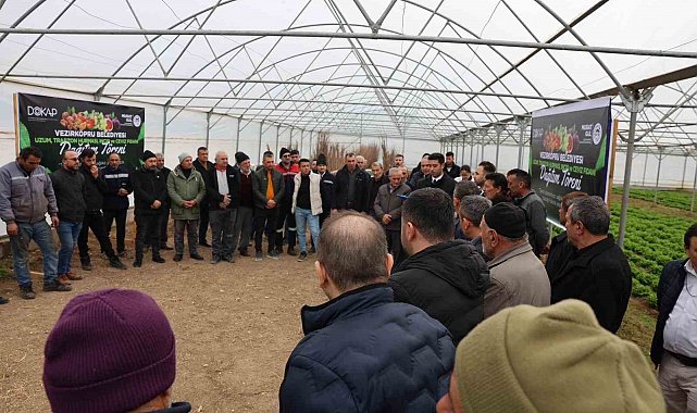 Vezirköprü'de çiftçiye 12 bin 500 meyve fidanı