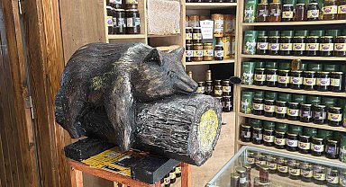 Viral olan ayı, satışları katladı: Balcı dükkanının başköşesine 'bayılan ayı' dekoru yerleşti