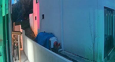 Yalova'da 14 aylık bebeğin yaralandığı komşu kavgası güvenlik kamerasına yansıdı