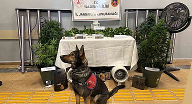 Yalova'da evi uyuşturucu serasına çeviren 2 zanlı tutuklandı