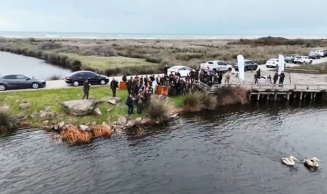 Yaralı pelikanlar tedavilerinin ardından doğaya salındı