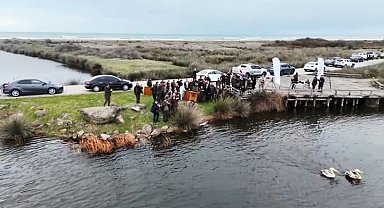 Yaralı pelikanlar tedavilerinin ardından doğaya salındı