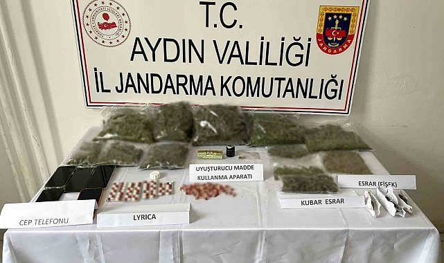 Yenipazar'da uyuşturucu operasyonu