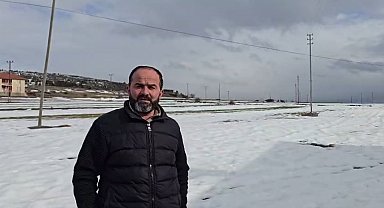 Yerleşim yerine inen kurdun rahat tavırları dikkat çekti