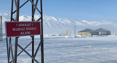 Yüksekova'da kuduz vakası