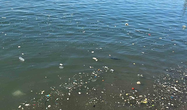 Zonguldak sahilinde çöp tepkisi