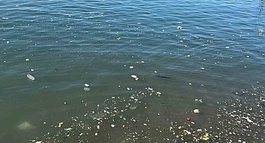 Zonguldak sahilinde çöp tepkisi