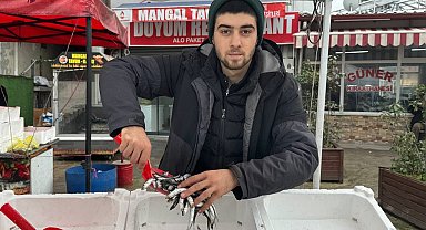 Zonguldak'ta tezgahta hamsinin yerini istavrit ve mezgit alacak