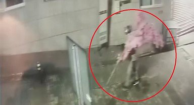 'Bir kafeden daha fazlası' yazısını fark etti, ağacı sırtlayıp gitti O anlar kamerada