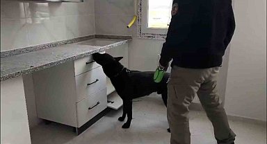 72 bin extacy yakalatıp "bizim değil" savunması yaptılar