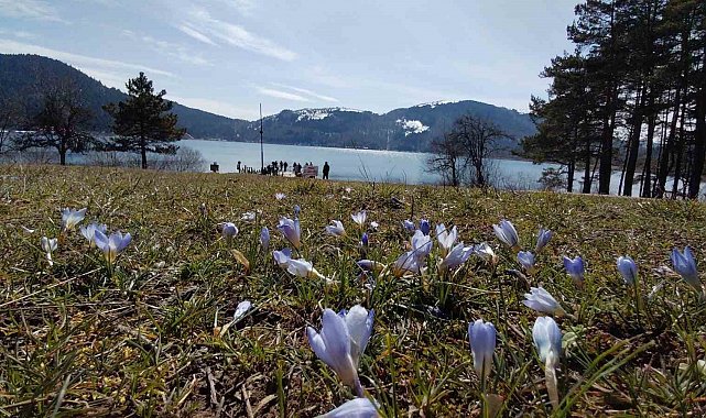 Abant'ta karların ardından bahar manzarası