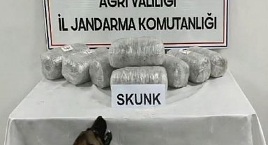 Ağrı'da 10 kilogram skunk ele geçirildi, 1 şüpheli tutuklandı