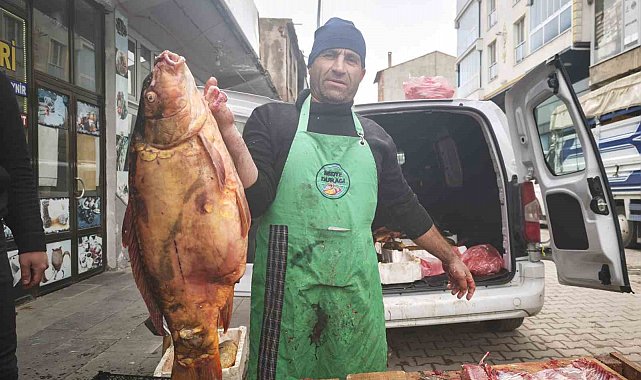 Ahlat'ta dev sazan balıklarına yoğun ilgi