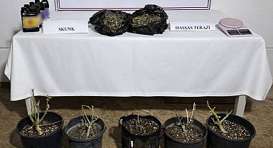 Aksu'da 243 gram uyuşturucu madde ele geçirildi