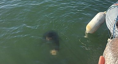 Akülü tekerlekli sandalyesiyle denize düşen kişi kurtarılamadı