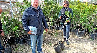 Alaçatı'da "Her Bahçeye Bir Sakız Ağacı" seferberliği
